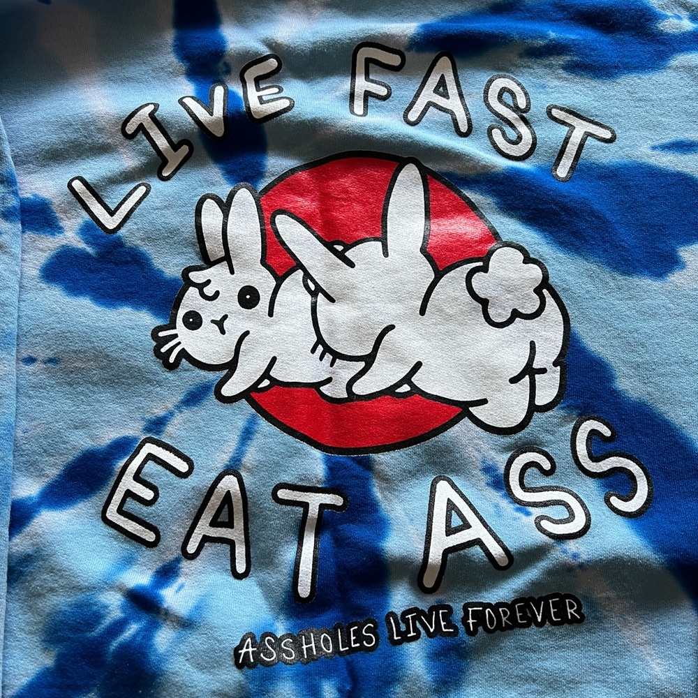 Assholes Live Forever “Live Fast Eat Ass” Blue Tie Dye Hoodie